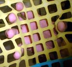 Rubber Circle 1