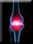 Knee